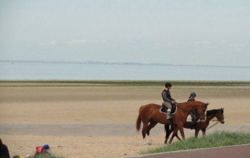 Location de vacances - Appartement à Bernières-sur-Mer