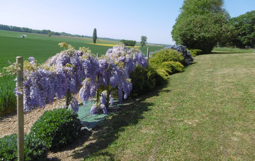 Location de vacances - Gîte à Pourlans - la nature se réveille