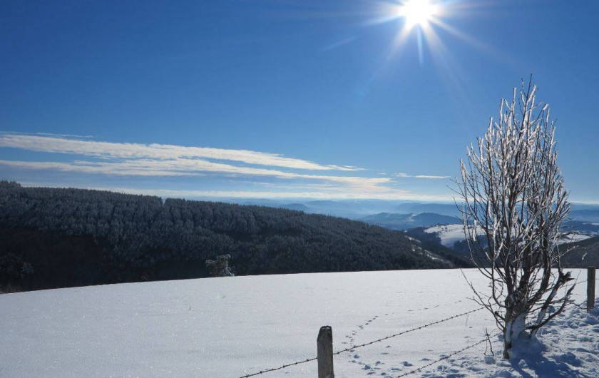 Location de vacances - Gîte à Saint-Pierre-de-Nogaret - Vue par une après-midi d'hiver...