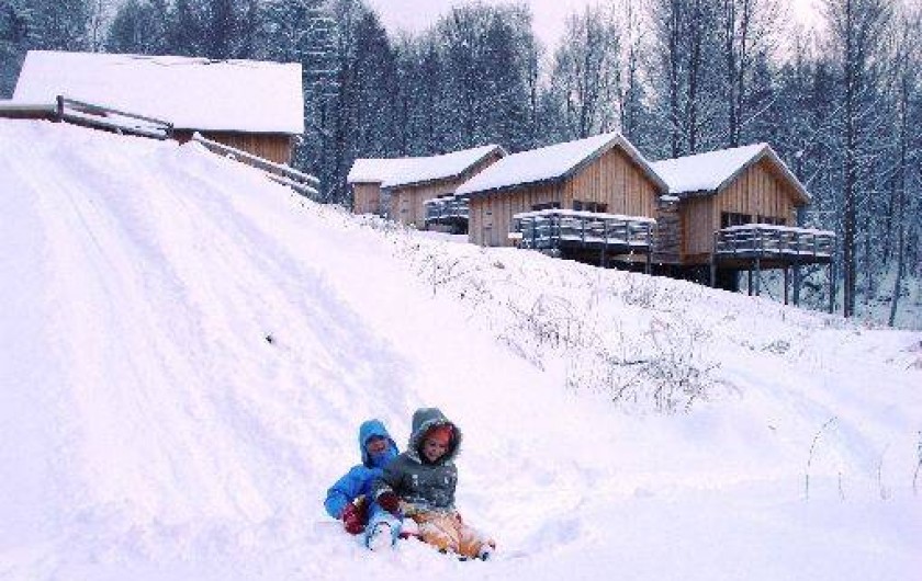 Location de vacances - Chalet à Saint-Bernard
