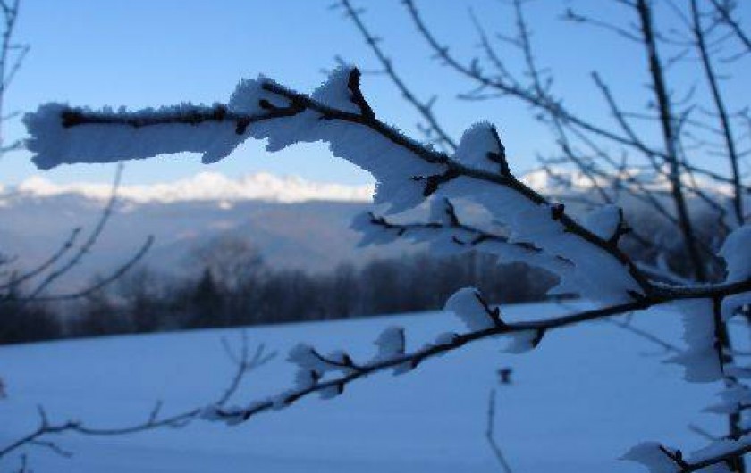 Location de vacances - Chalet à Saint-Bernard