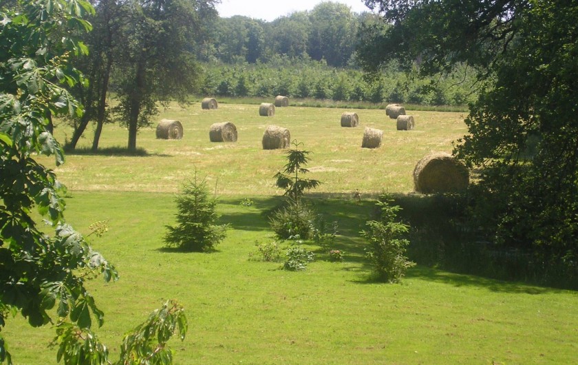 Location de vacances - Maison - Villa à Vitry-aux-Loges - Vue campagne