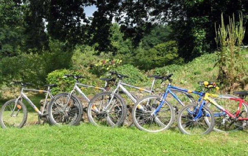 Location de vacances - Gîte à Lépinas