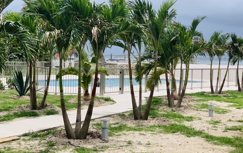 Location de vacances - Appartement à Saint-Martin