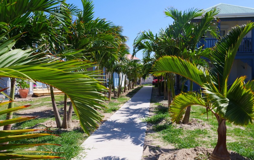 Location de vacances - Appartement à Saint-Martin