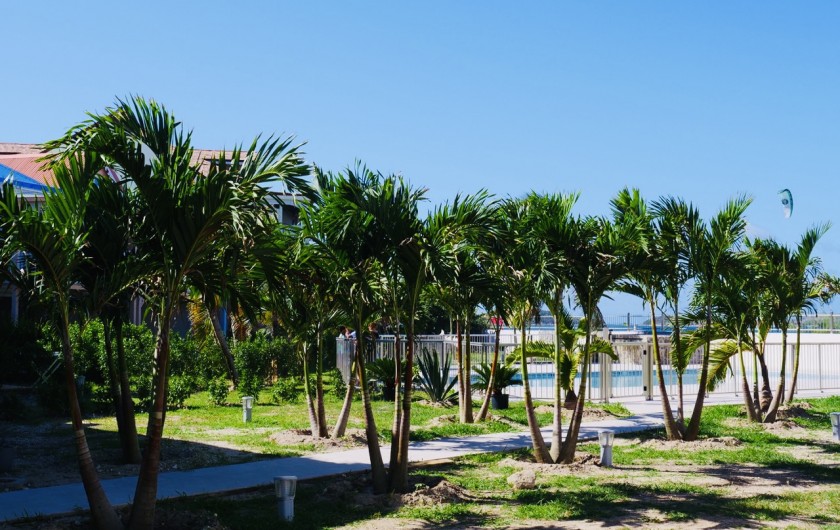 Location de vacances - Appartement à Saint-Martin