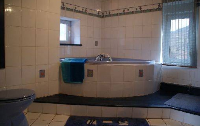 Location de vacances - Gîte à Steige