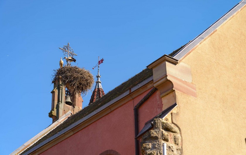 Location de vacances - Gîte à Eguisheim