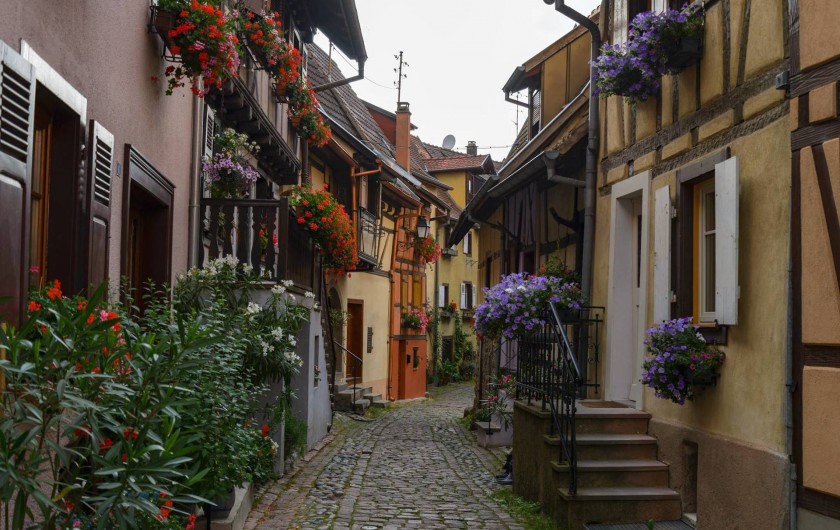Location de vacances - Gîte à Eguisheim