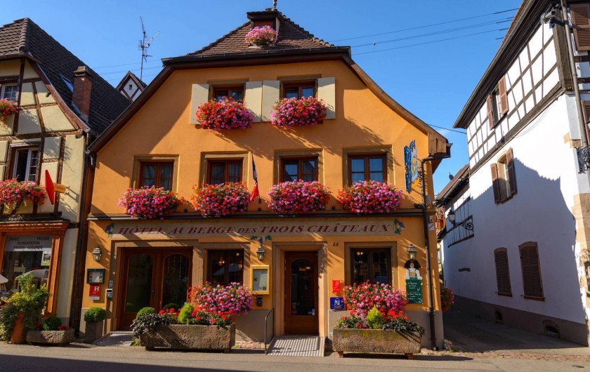 Location de vacances - Gîte à Eguisheim