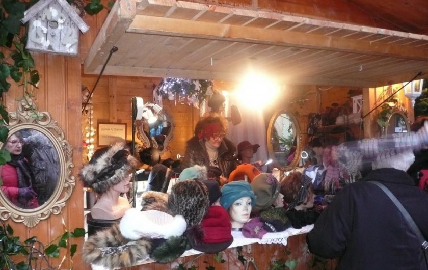 Location de vacances - Gîte à Eguisheim