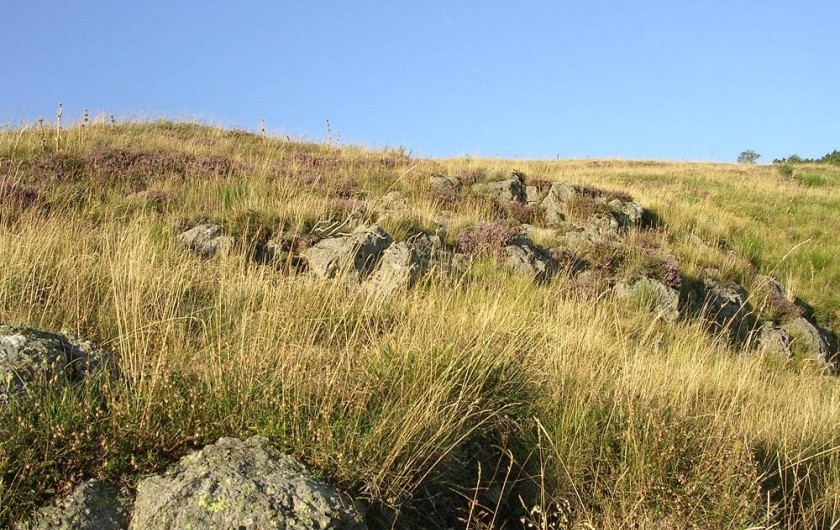 Location de vacances - Gîte à Trélans