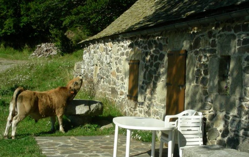 Location de vacances - Gîte à Trélans - Le Galaber