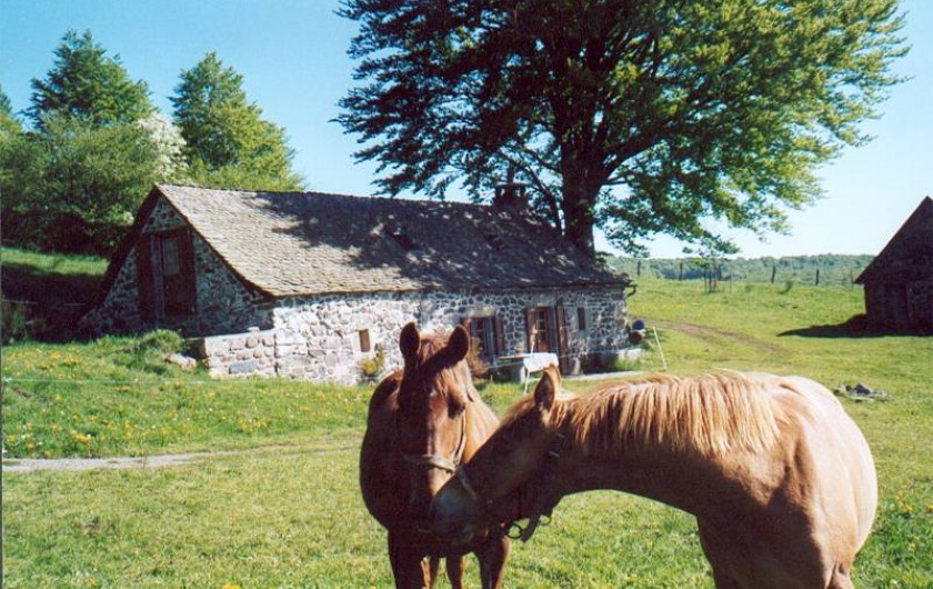 Location de vacances - Gîte à Trélans - Le Galaber