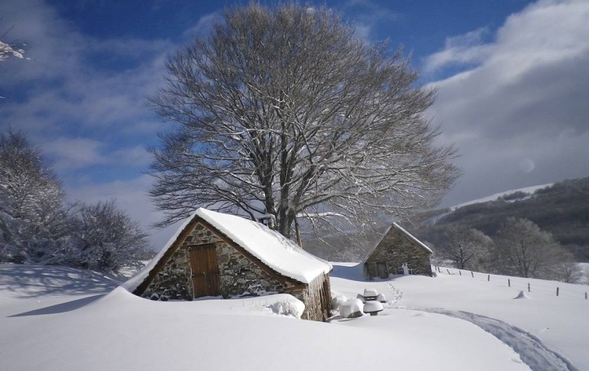 Location de vacances - Gîte à Trélans - Le Galaber