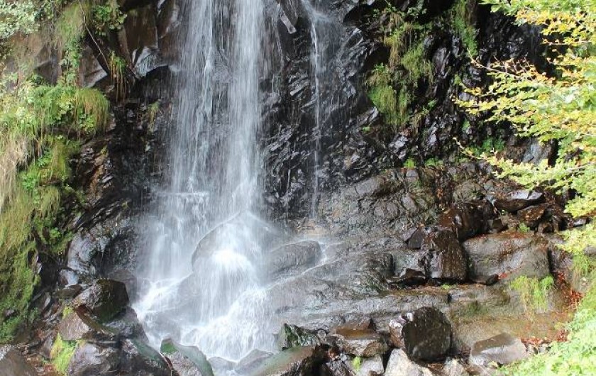 Location de vacances - Gîte à Trélans