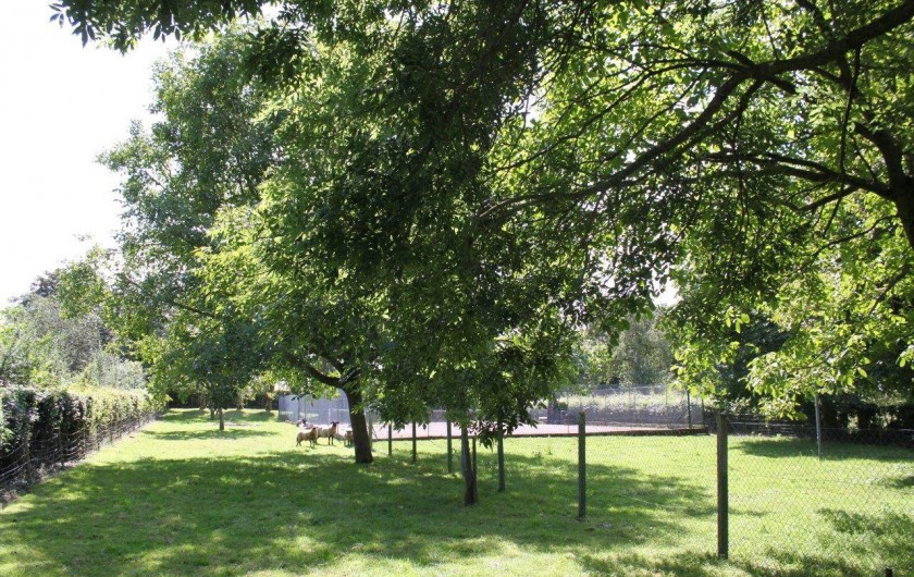 Location de vacances - Maison - Villa à Sailly Bray - pature