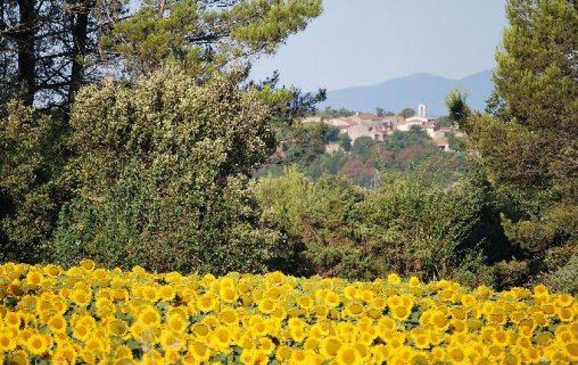 Location de vacances - Gîte à Mons