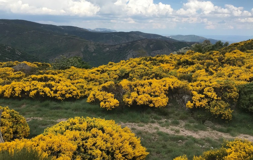 Location de vacances - Gîte à Saint-Mélany