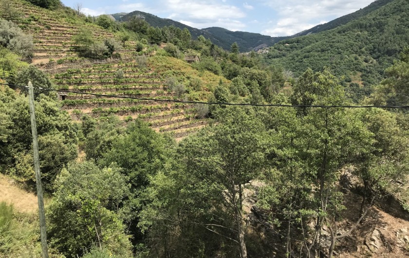Location de vacances - Gîte à Saint-Mélany