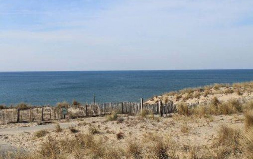 Location de vacances - Maison - Villa à Carcans