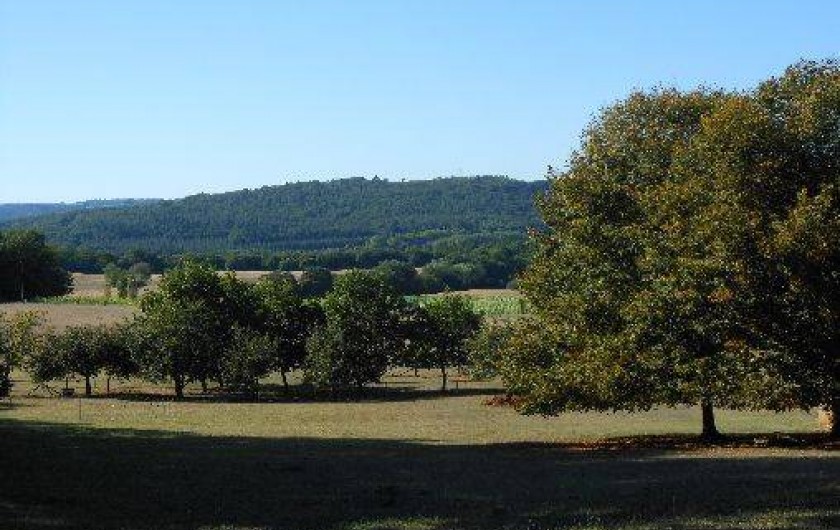 Location de vacances - Gîte à Montignac