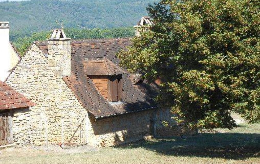 Location de vacances - Gîte à Montignac