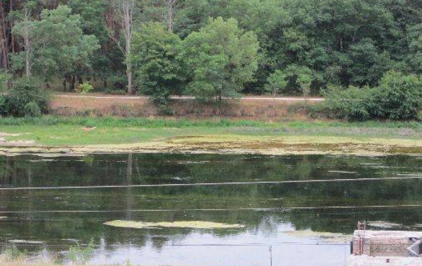 Location de vacances - Gîte à Montrichard - Vue sur le Cher