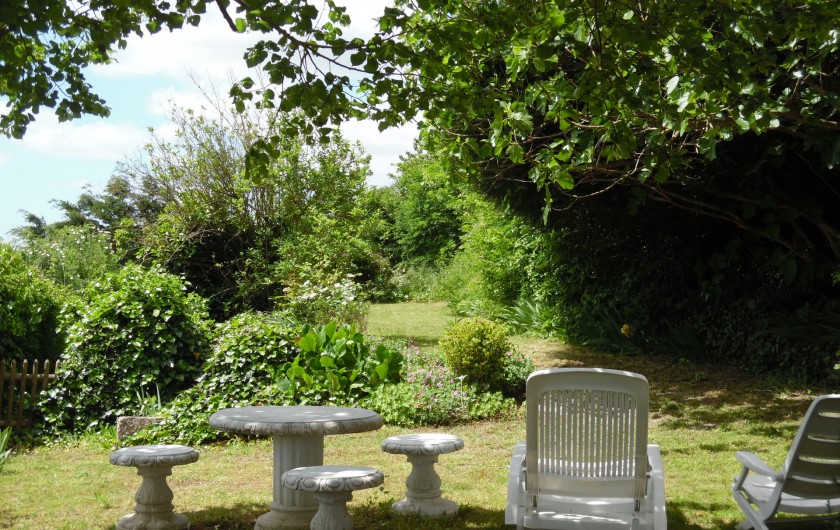 Location de vacances - Gîte à Montrichard - Jardin gazonné