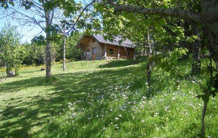 Location de vacances - Chalet à Borée