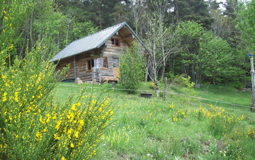 Location de vacances - Chalet à Borée