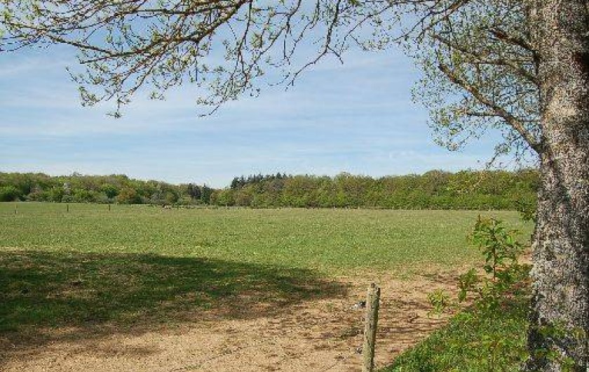 Location de vacances - Gîte à Saint-Sernin-du-Bois
