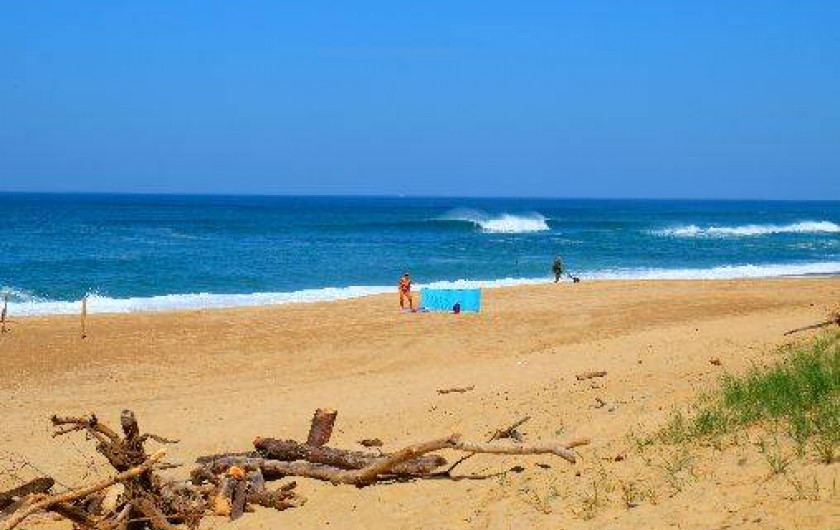 Location de vacances - Appartement à Soorts