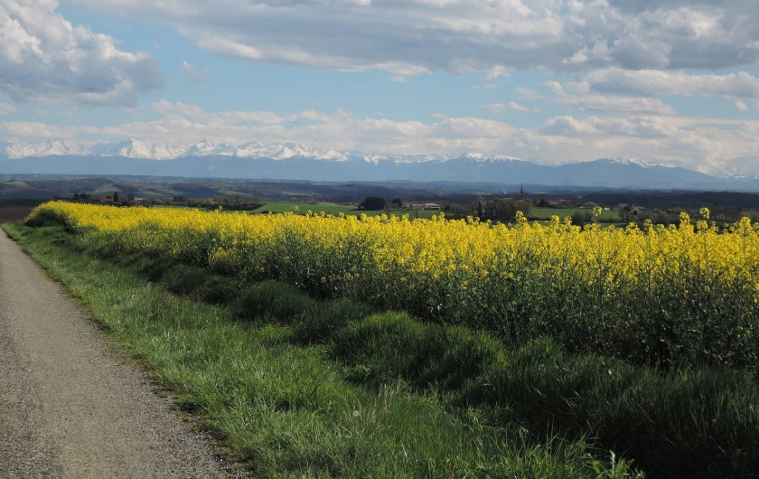 Location de vacances - Maison - Villa à Tournan - Photo prise en avril sur le chemin menant au gîte