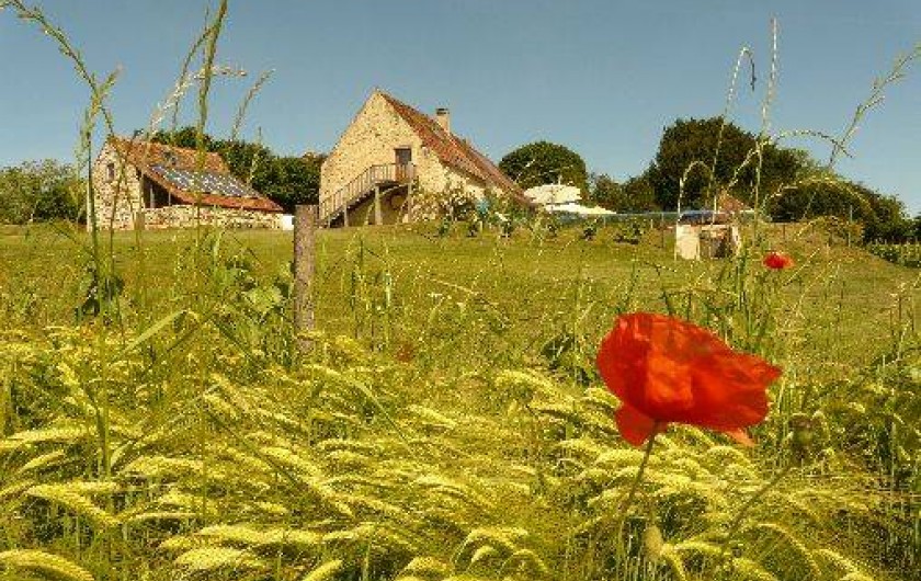 Location de vacances - Gîte à Rouffilhac