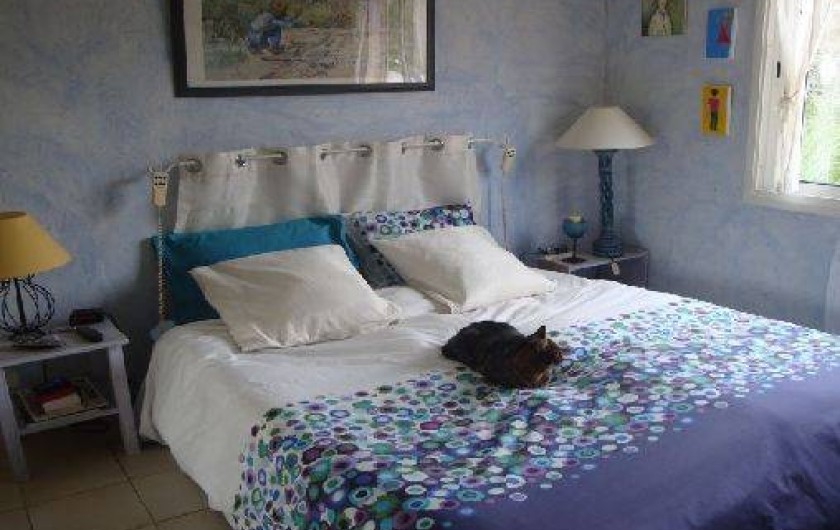 Location de vacances - Villa à Tourves