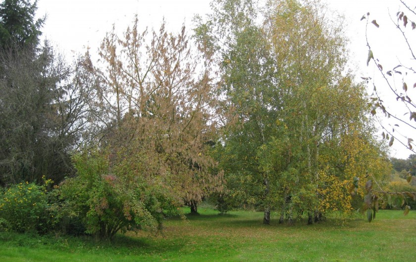 Location de vacances - Gîte à Châtillon-sur-Indre