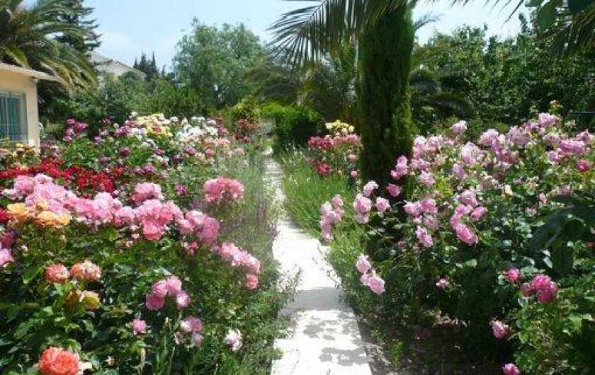 Location de vacances - Gîte à Fontvieille
