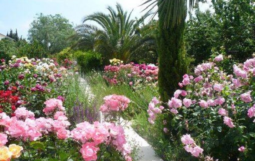 Location de vacances - Gîte à Fontvieille