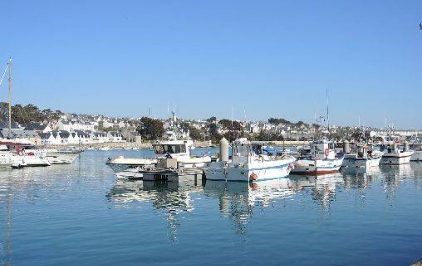 Location de vacances - Gîte à Plouhinec