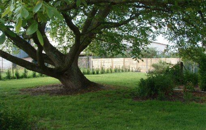 Location de vacances - Gîte à Friville-Escarbotin