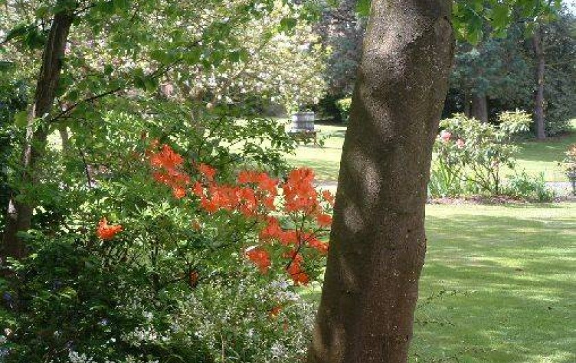 Location de vacances - Gîte à Friville-Escarbotin