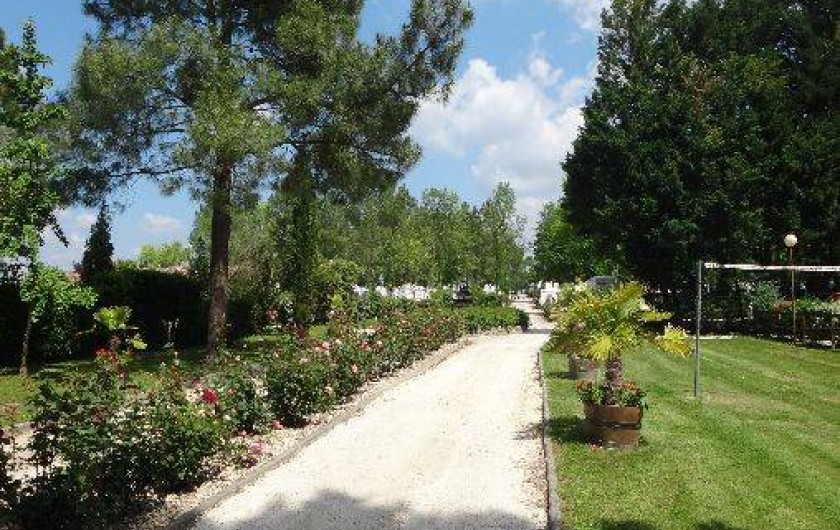 Location de vacances - Camping à Petit-Palais-et-Cornemps