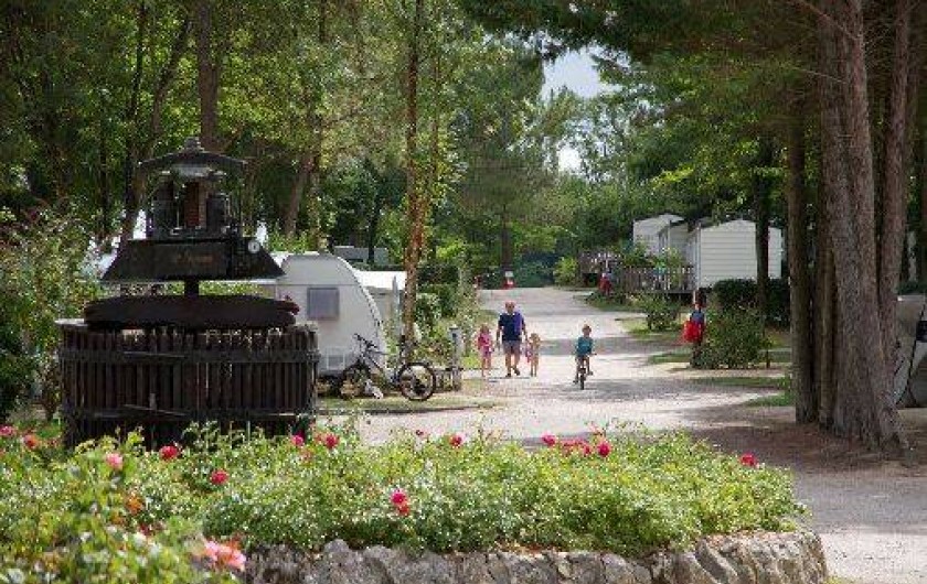 Location de vacances - Camping à Petit-Palais-et-Cornemps