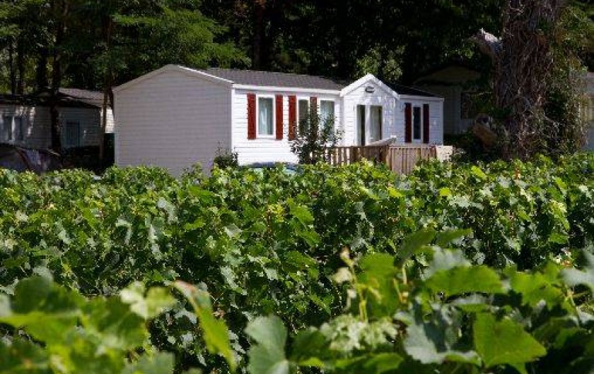 Location de vacances - Camping à Petit-Palais-et-Cornemps