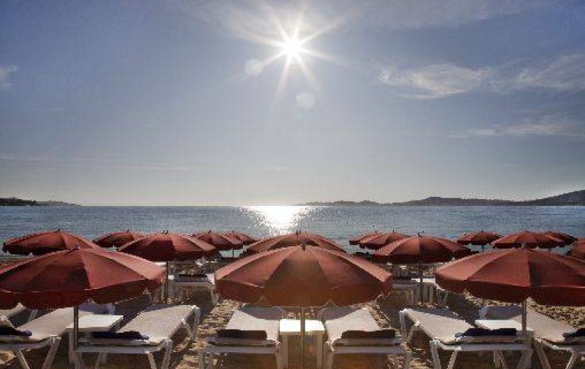 Location de vacances - Camping à Grimaud