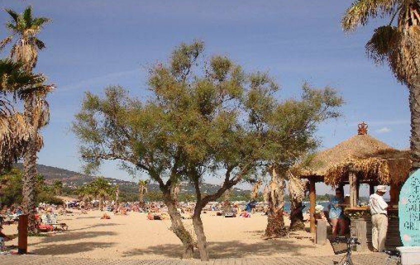 Location de vacances - Camping à Grimaud