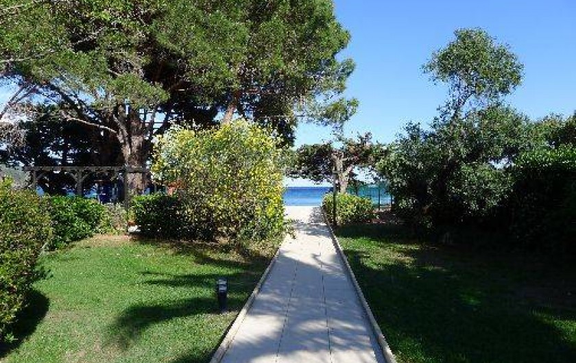 Location de vacances - Appartement à Le Lavandou