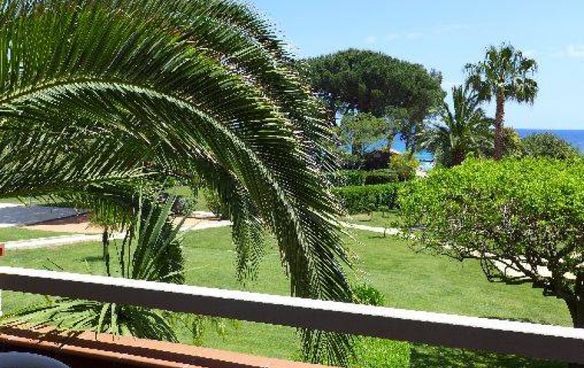 Location de vacances - Appartement à Le Lavandou