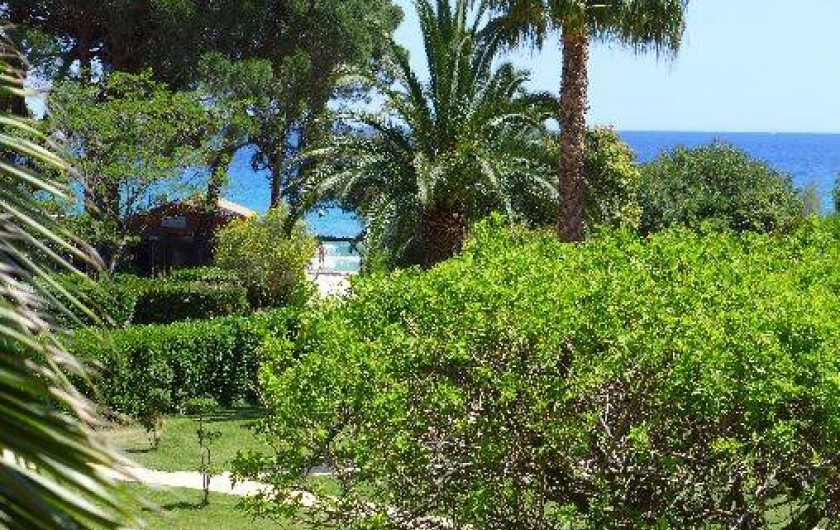 Location de vacances - Appartement à Le Lavandou